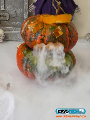 CRYOTECH - Halloween - effet de fumée 1